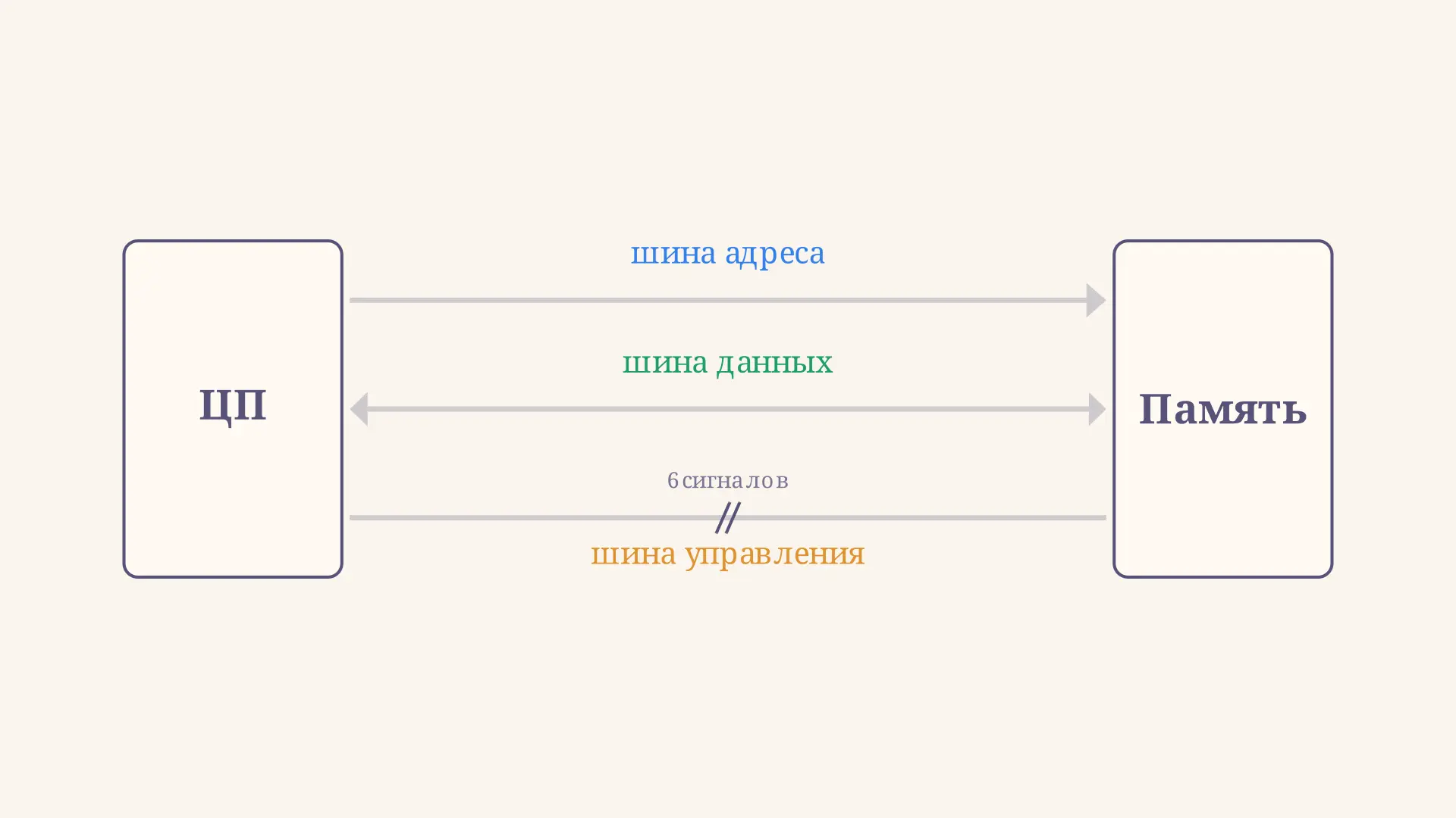 Шина адреса, данных и управления процессора: разрядность