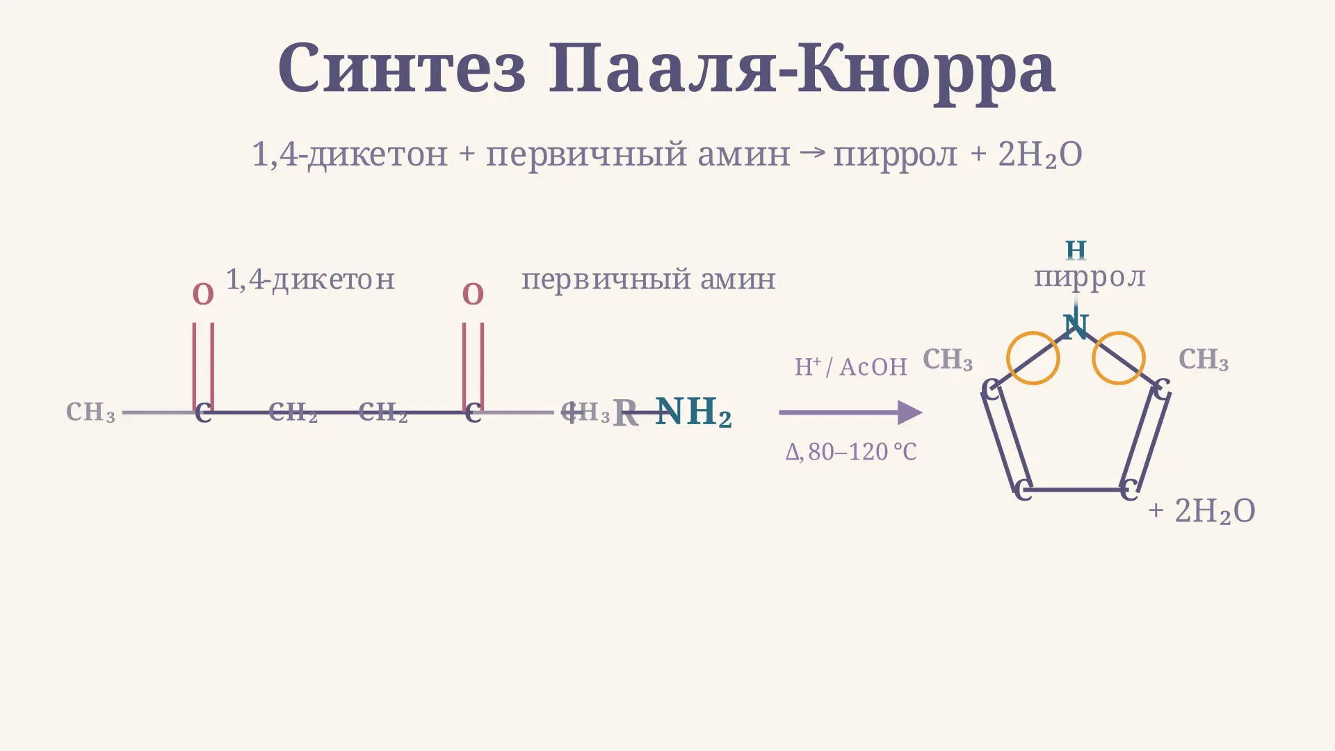 Синтез Пааля-Кнорра: механизм и условия реакции