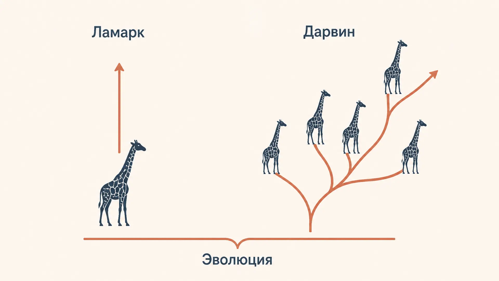 Сравнение теорий Ламарка и Дарвина