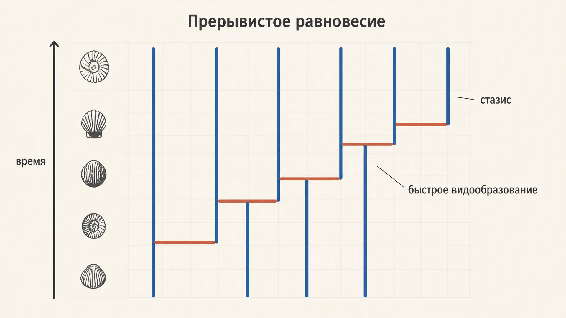 Теория прерывистого равновесия: стазис и скачки видов