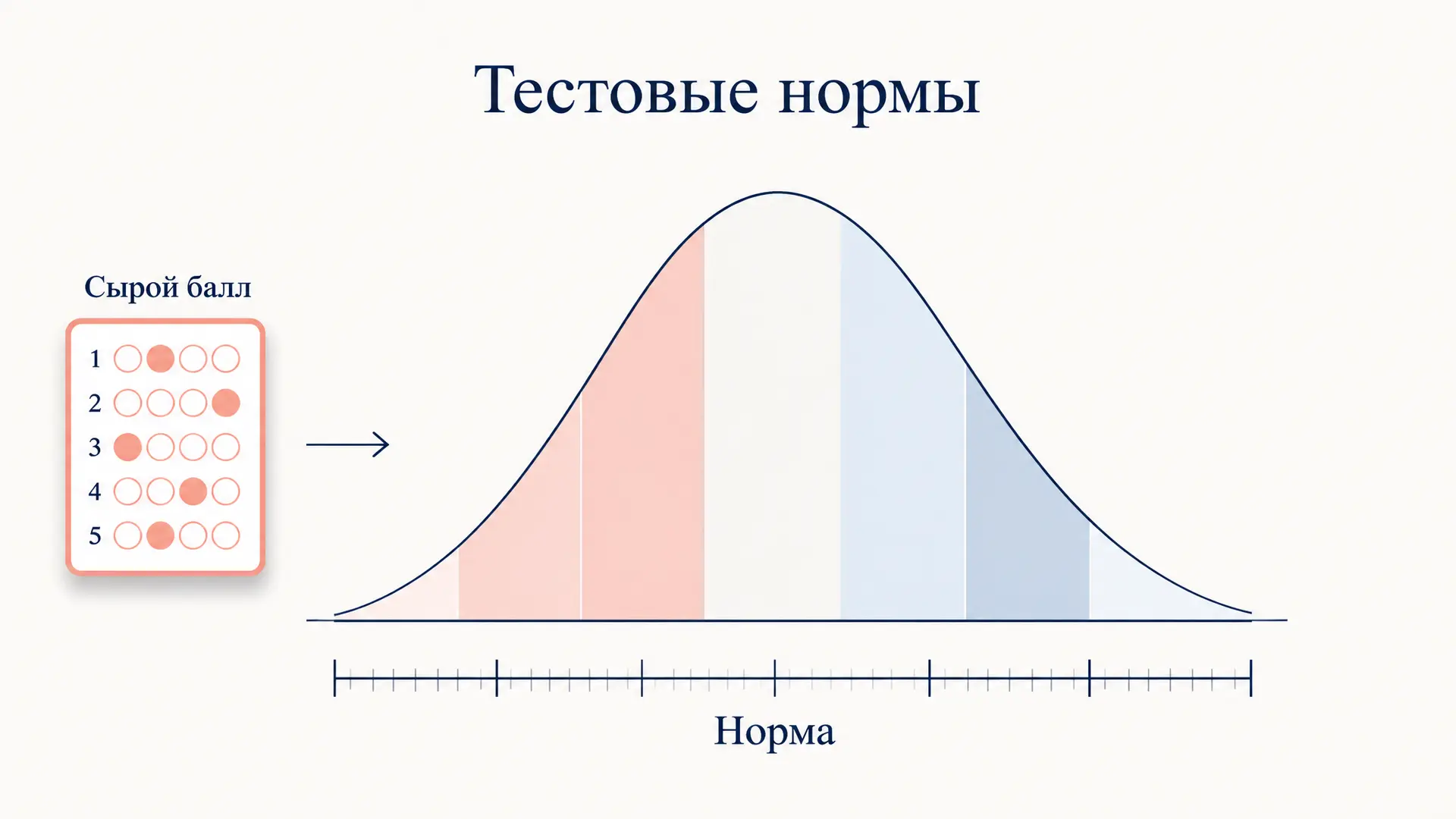 Тестовые нормы: как сырой балл превращается в оценку
