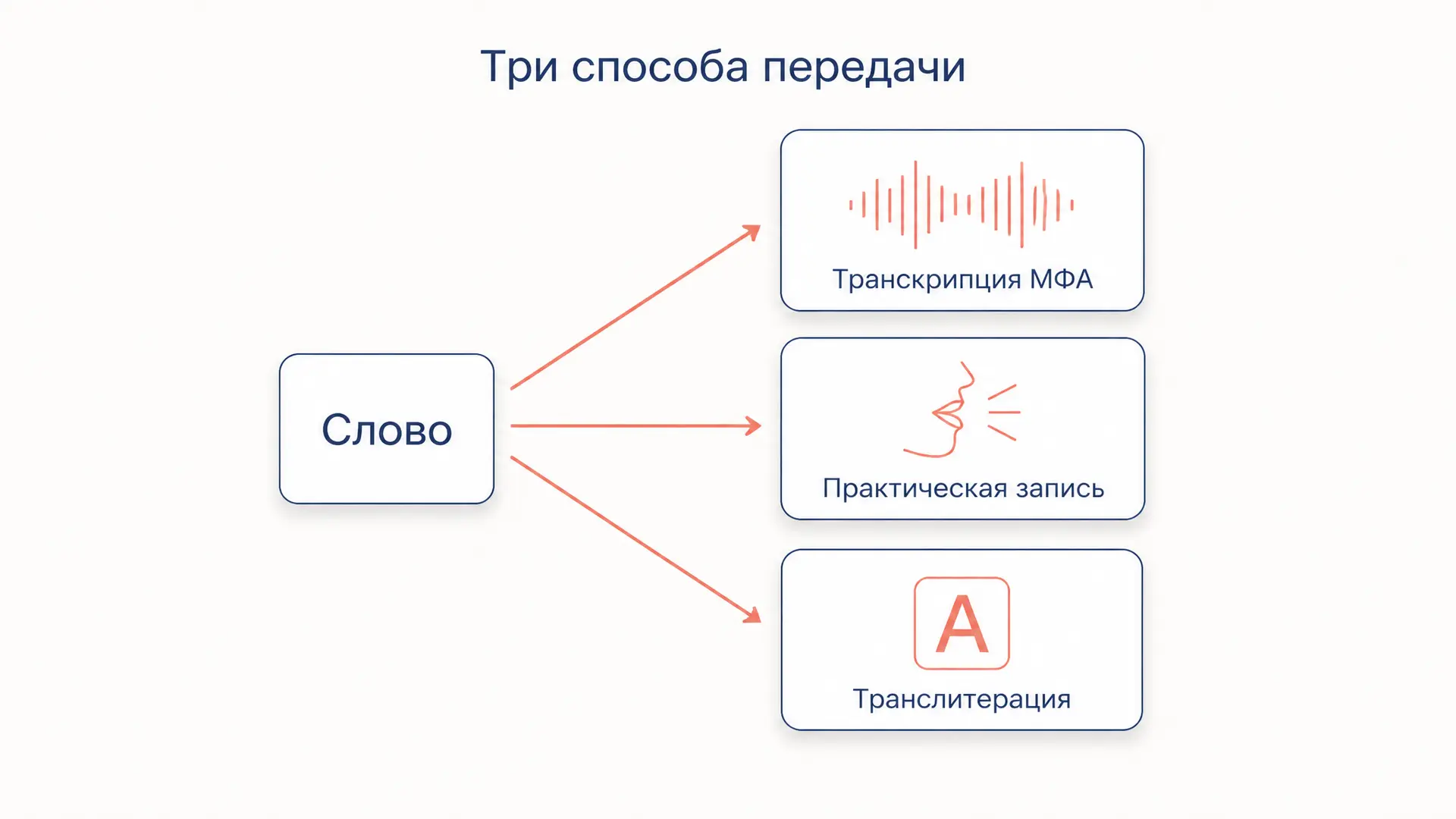 Транслитерация и транскрипция: чем они различаются