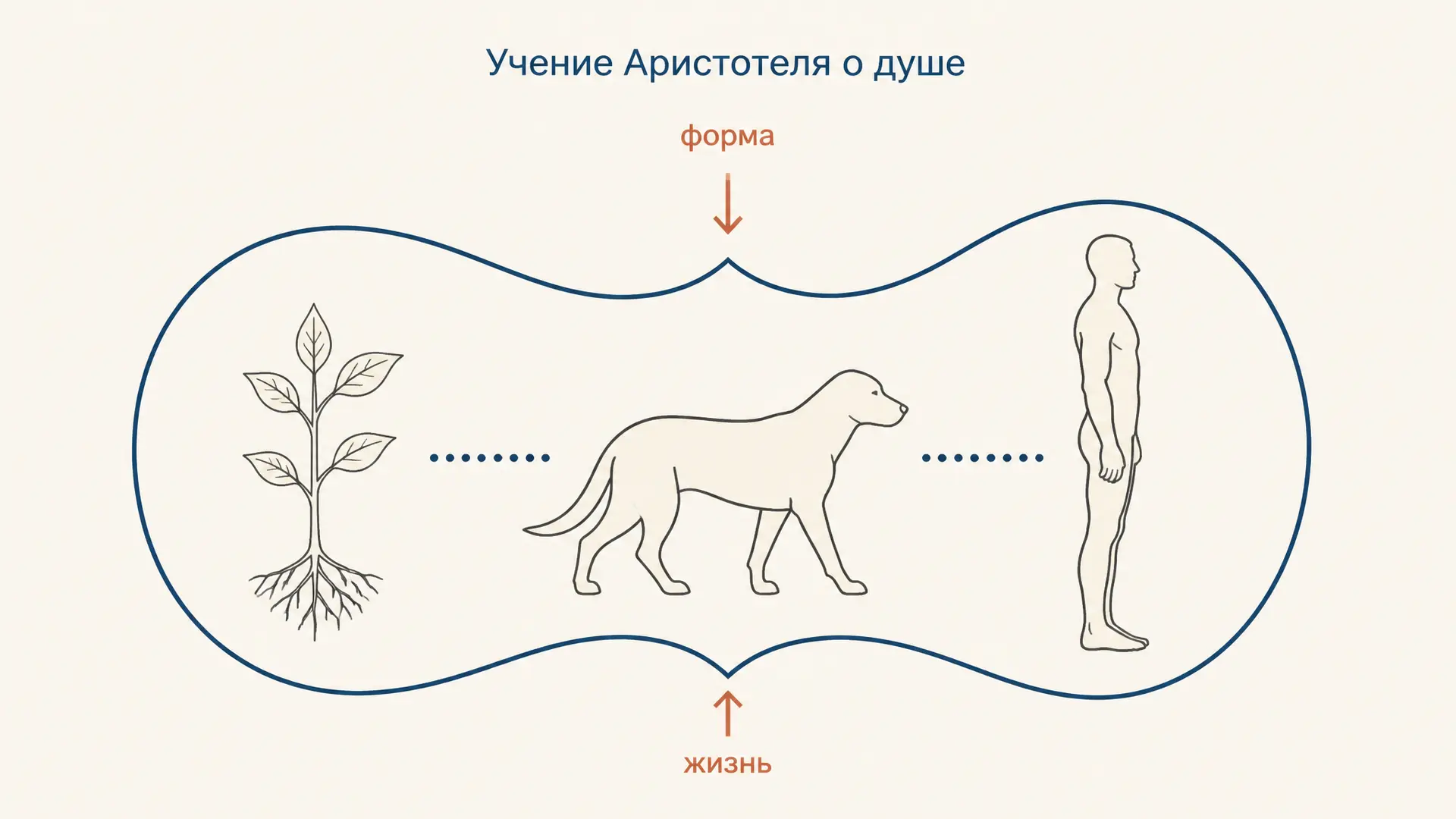 Учение Аристотеля о душе: форма живого тела