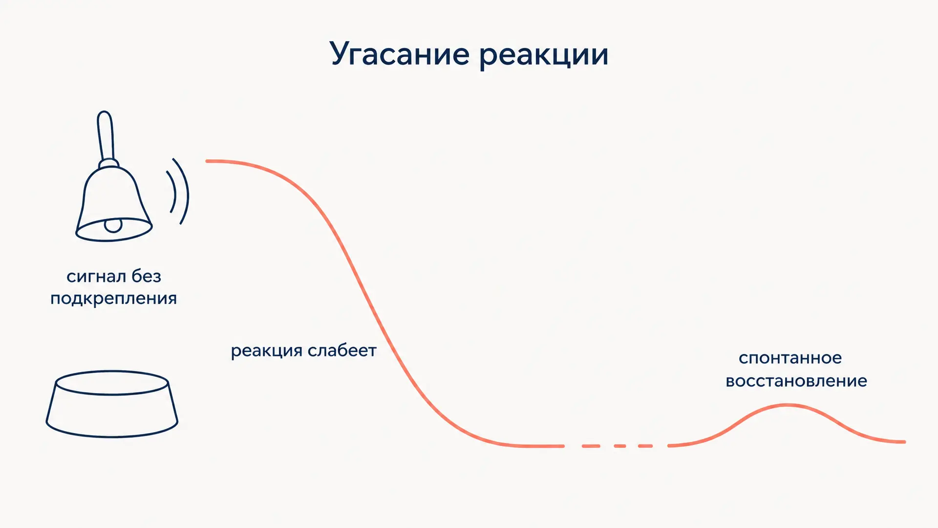 Угасание реакции: почему она гаснет и возвращается