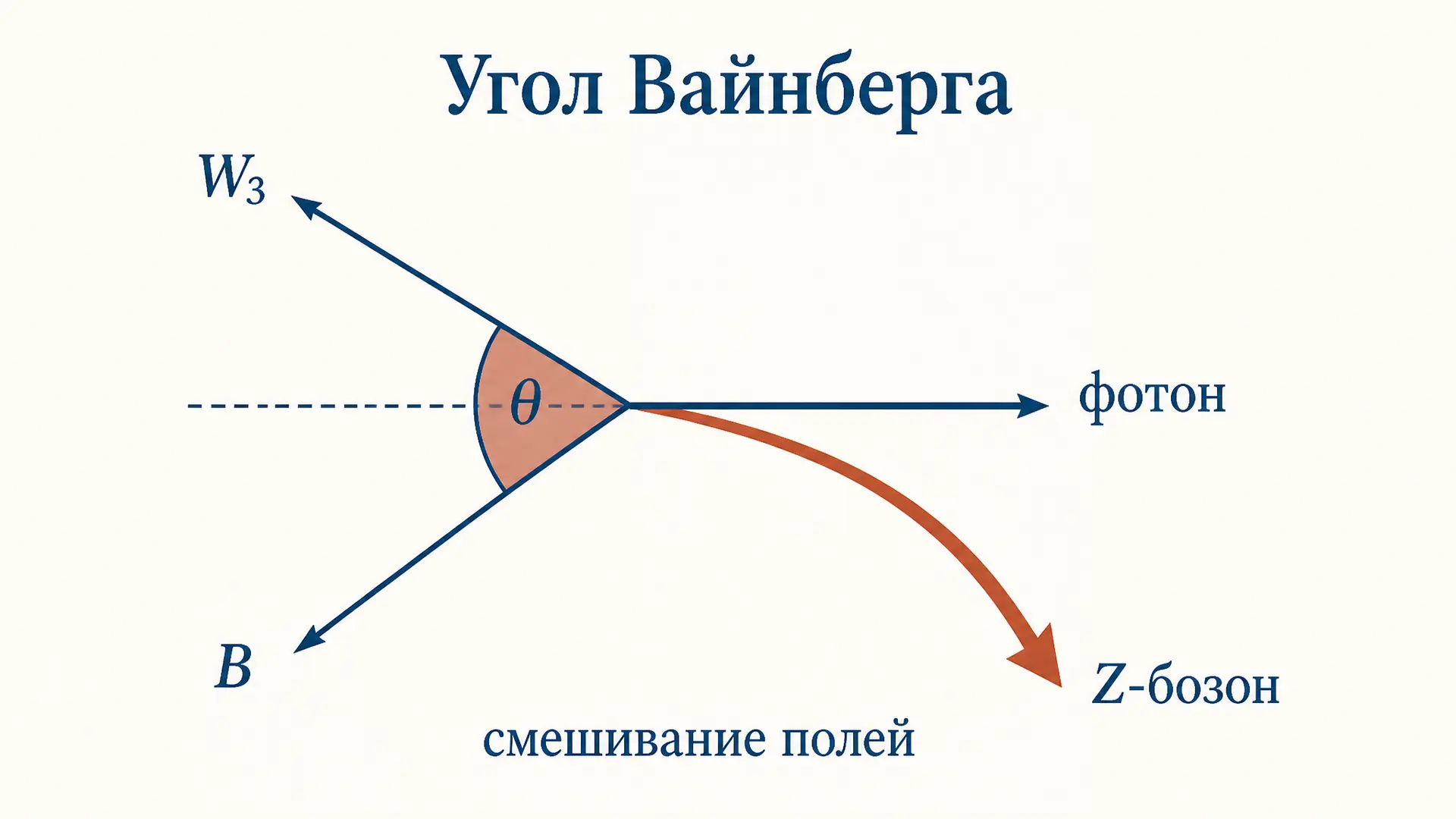 Угол Вайнберга: что это и как связывает электрослабые силы