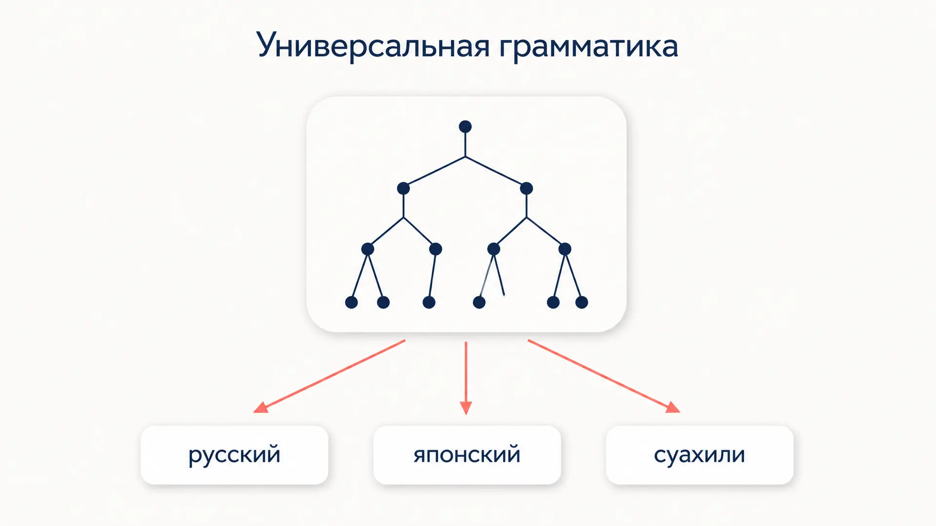 Универсальная грамматика: гипотеза Хомского о языке