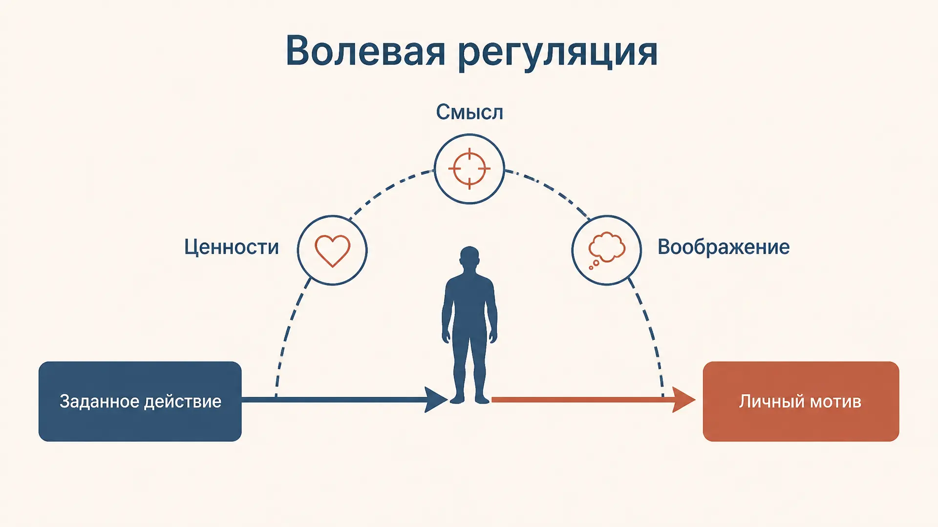 Волевая регуляция Иванникова: механизм и примеры