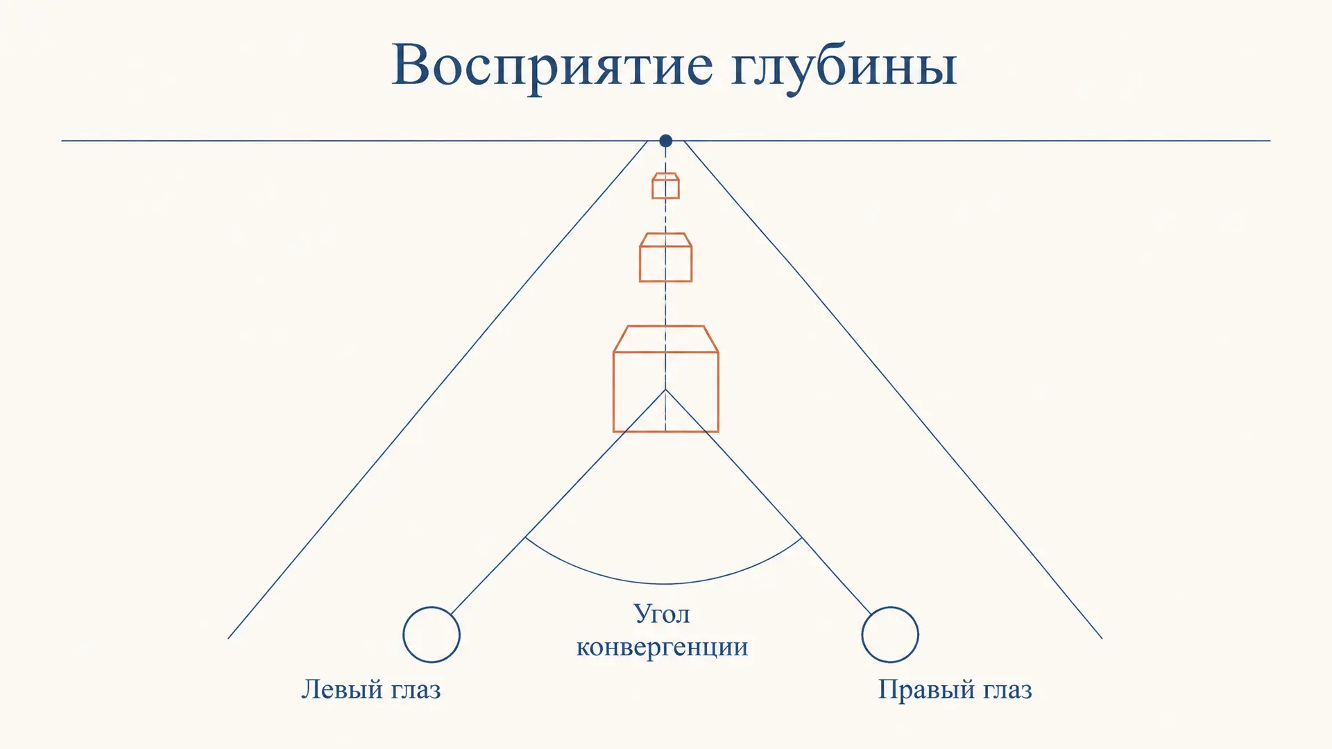 Восприятие глубины: как мозг видит третье измерение