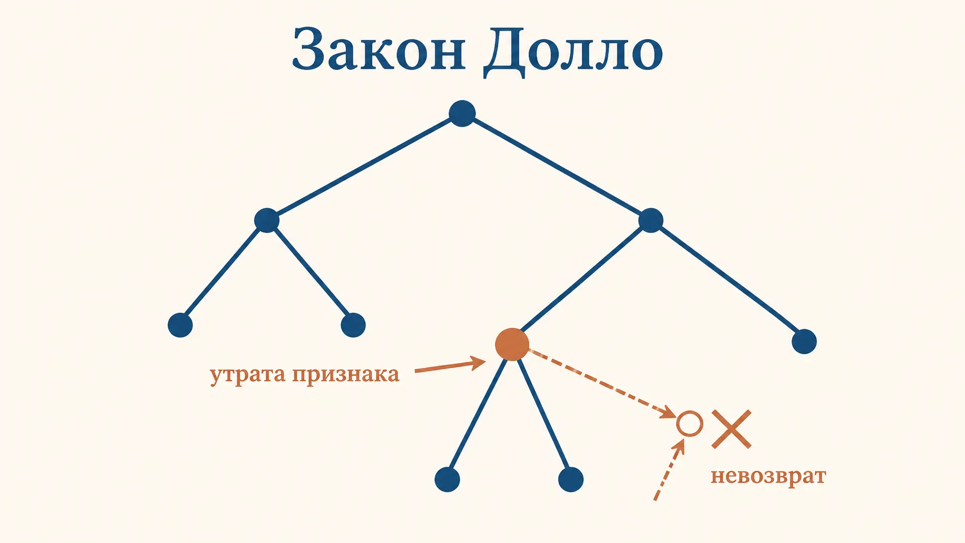 Закон Долло: необратимость эволюции и её пределы