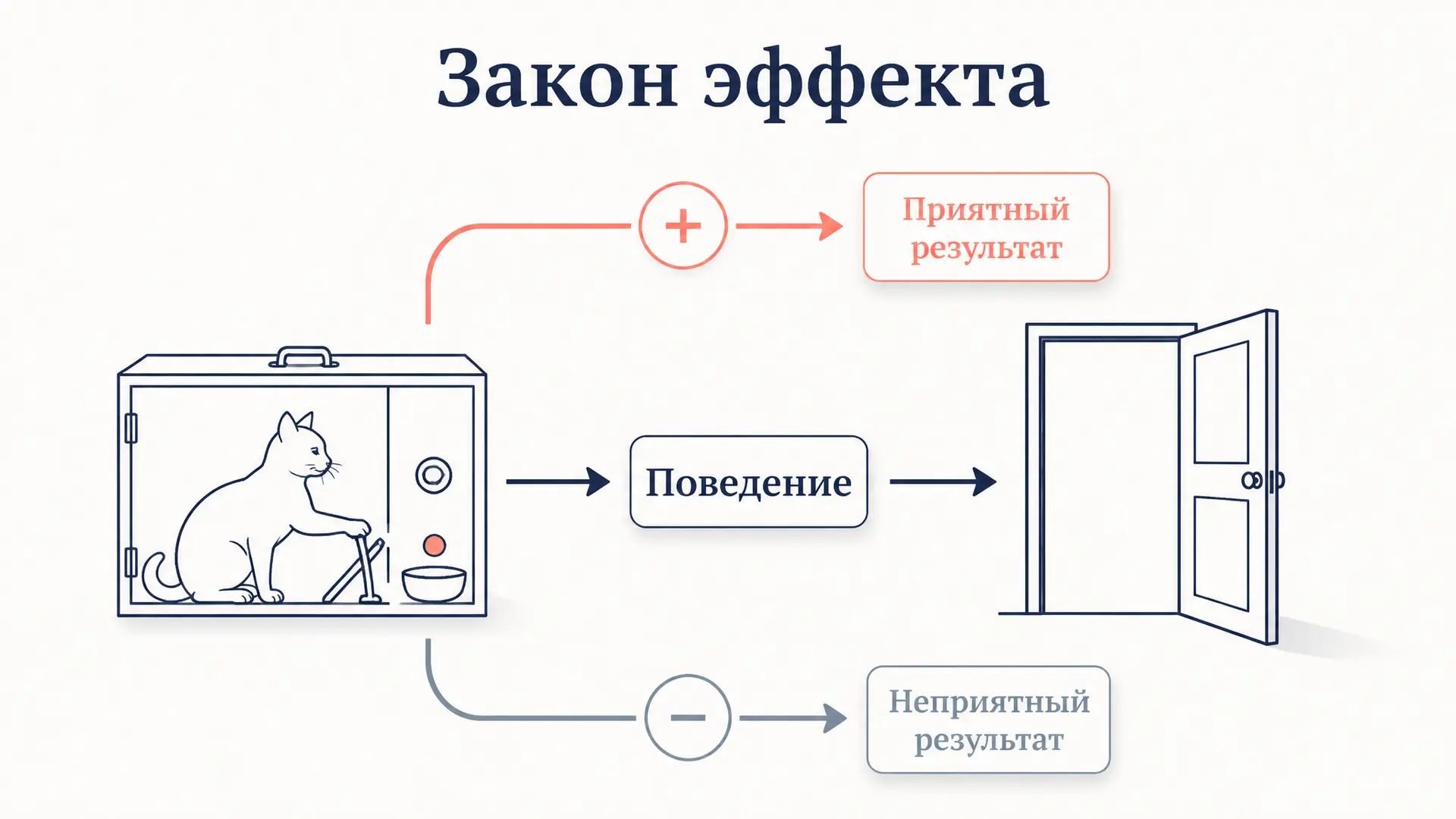 Закон эффекта Торндайка: суть, опыты и формулировки