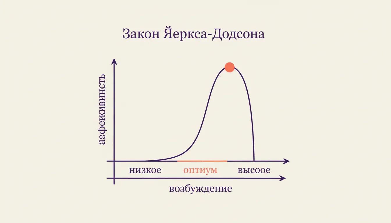 Закон Йеркса-Додсона: оптимальный уровень возбуждения