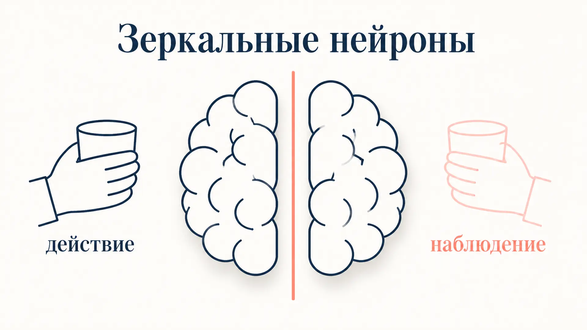 Зеркальные нейроны Риццолатти: механизм понимания действий