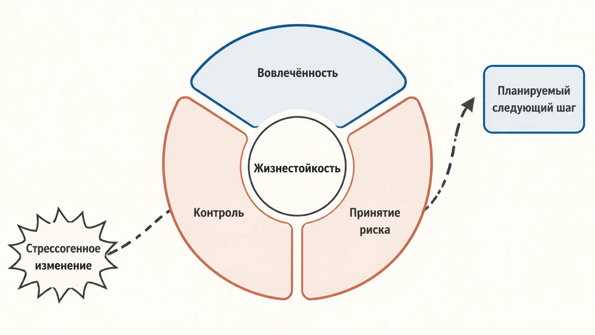 Жизнестойкость Мадди: компоненты hardiness