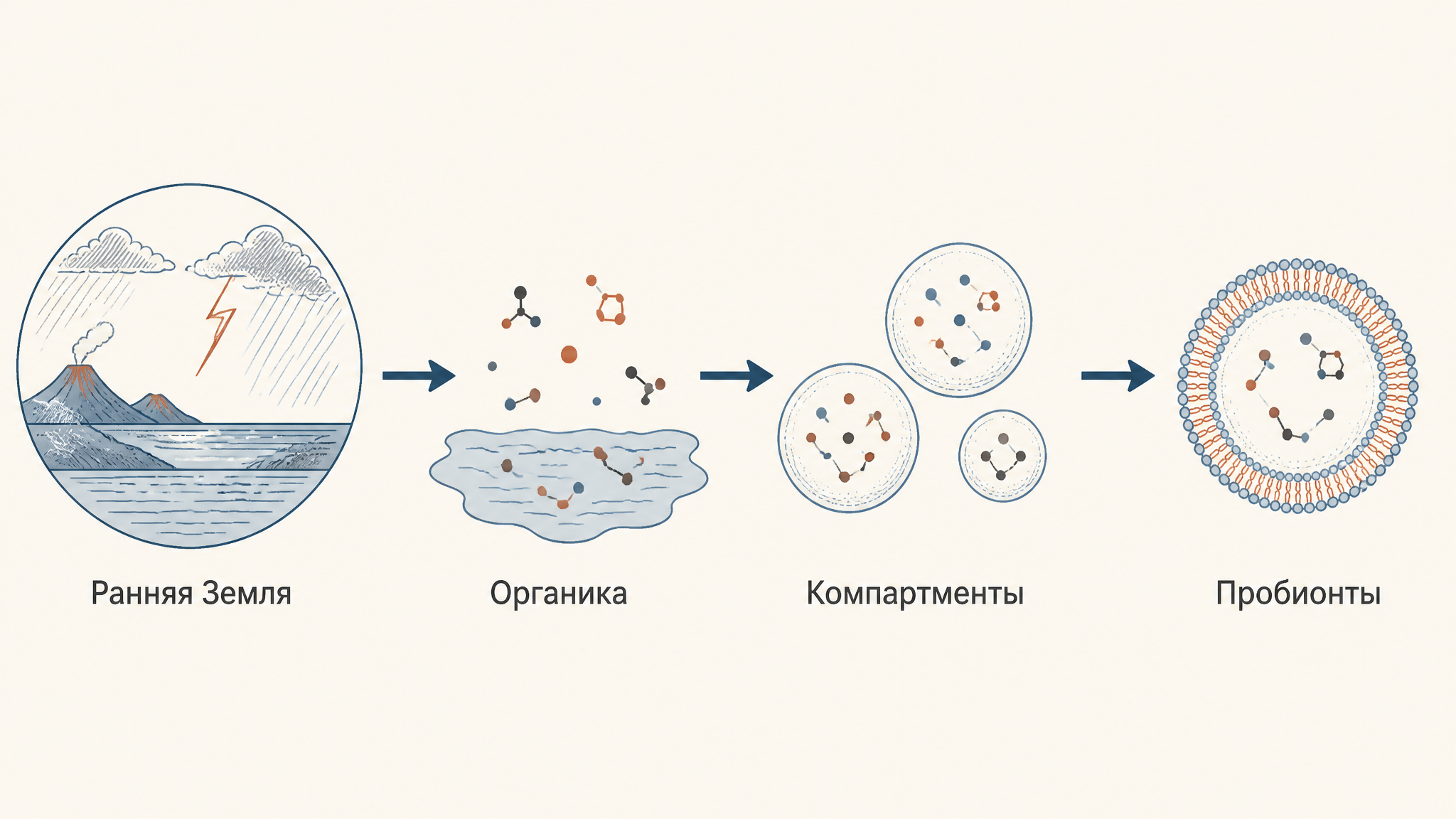 Схема пути от ранней Земли через органику и компартменты к пробионтам