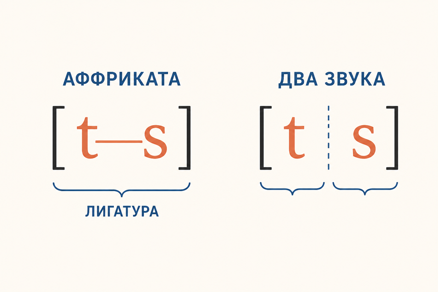 Сопоставление записи в МФА: аффриката t͡s с лигатурой и последовательность t+s как два отдельных сегмента