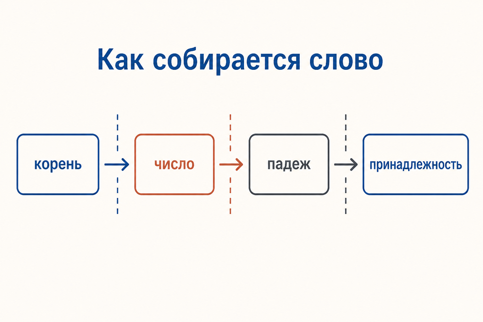 Слово как цепочка морфем: корень «дом», число, принадлежность и падеж присоединяются последовательно