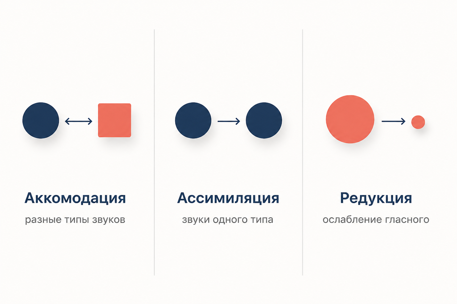 Сопоставление трёх процессов: аккомодация между звуками разного типа, ассимиляция между звуками одного типа, редукция как ослабление гласного
