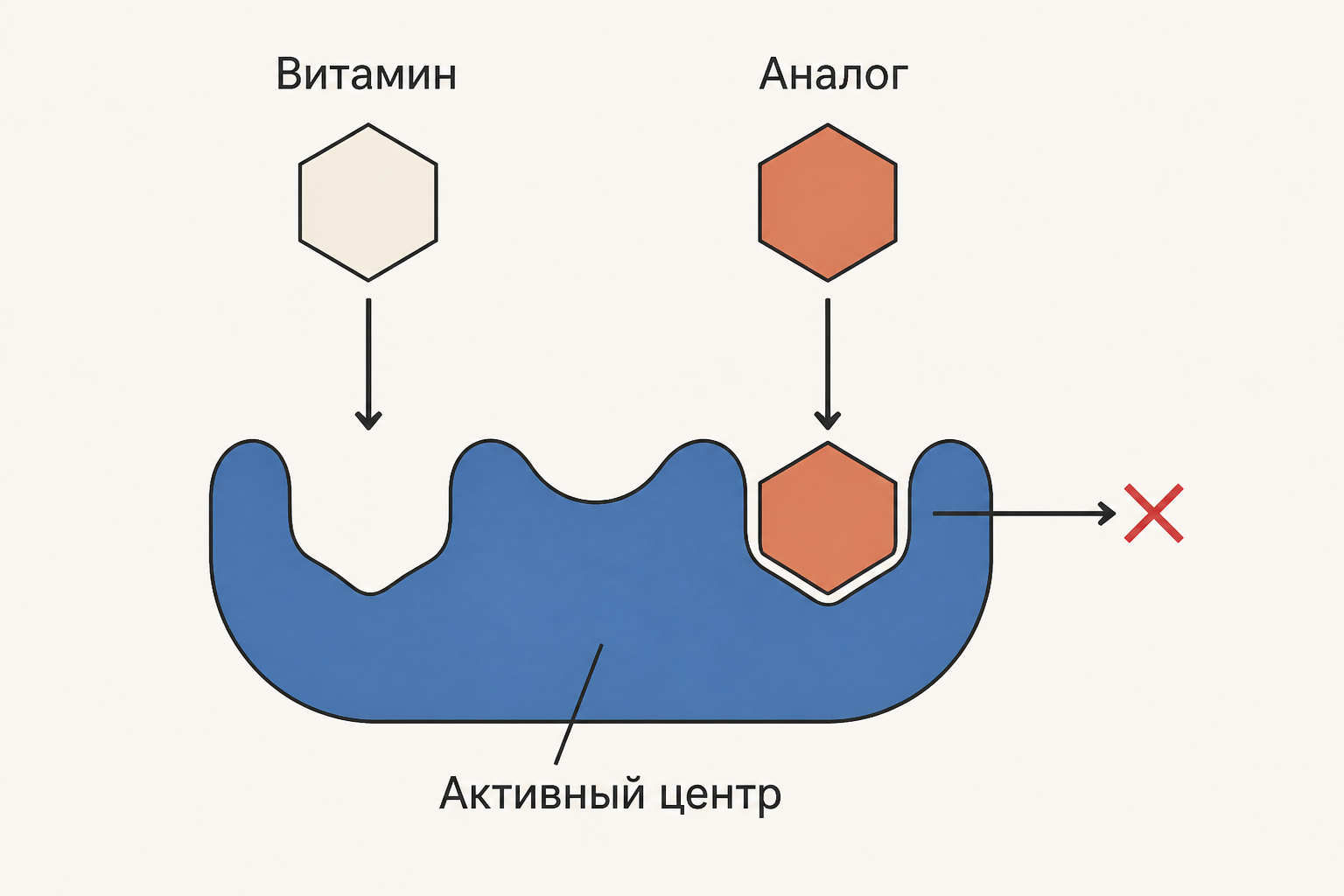 Структурный аналог занимает активный центр вместо витамина