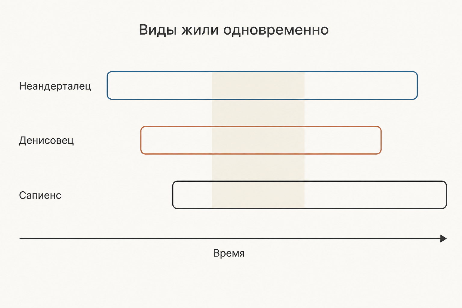 Три горизонтальные полосы времени, накладывающиеся друг на друга, подписанные: неандерталец, денисовец, сапиенс