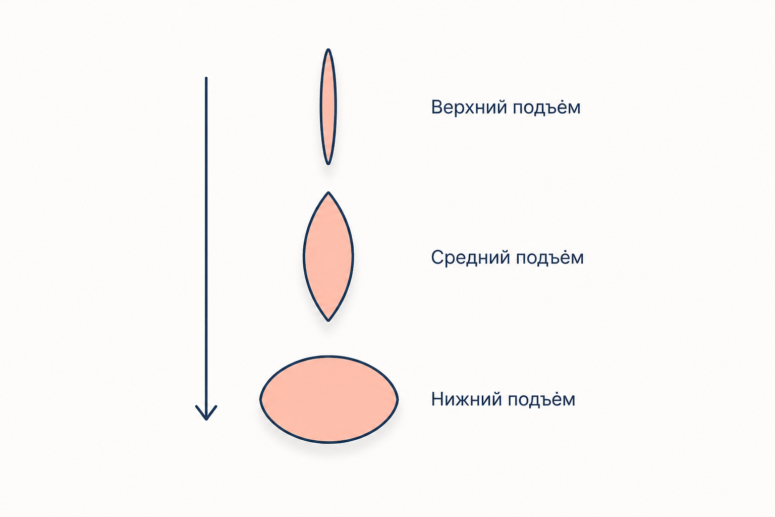 Три раствора: узкая щель для верхнего подъёма, средний раствор и широкий овал для нижнего подъёма