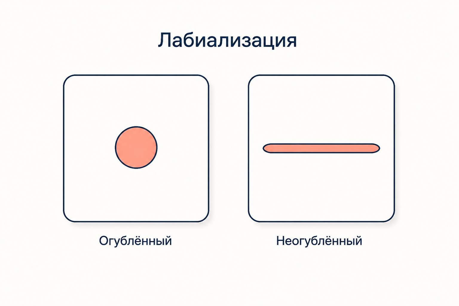 Два символа лабиализации: округлённое отверстие для огублённого гласного и узкая щель для неогублённого