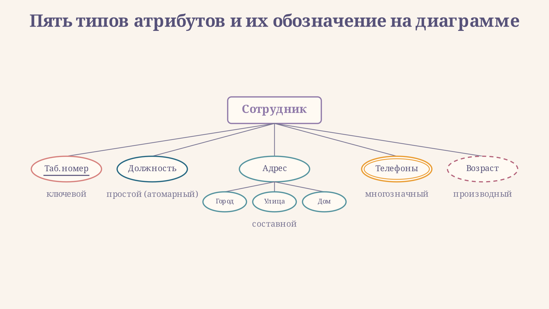 Пять типов атрибутов сущности в ER-модели: обычный овал - простой атрибут, подчёркнутый - ключевой, ветвящийся - составной, двойной - многозначный, пунктирный - производный