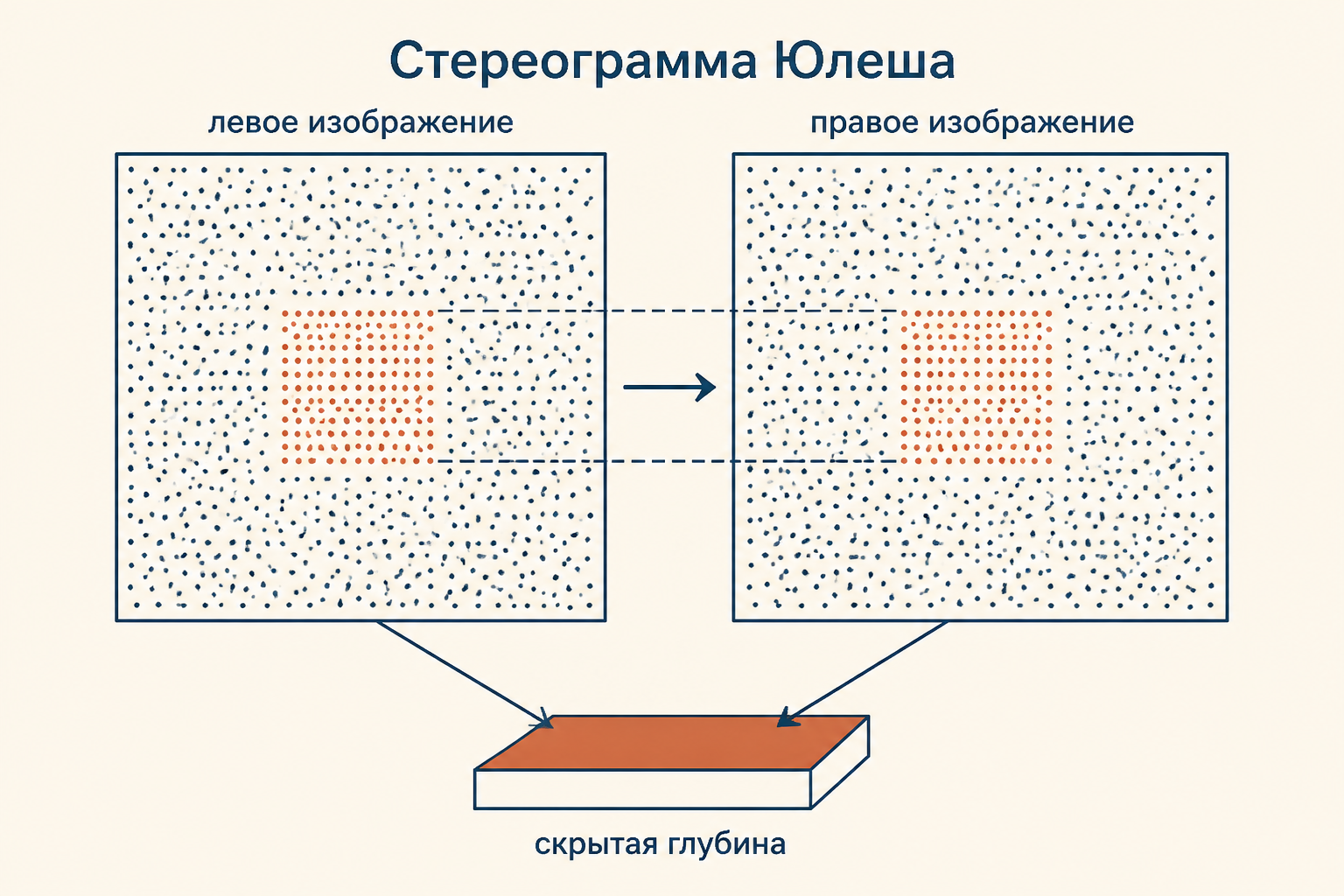 Схематическая случайно-точечная стереограмма: две пары точечных полей с небольшим горизонтальным сдвигом, который создаёт скрытую глубинную область