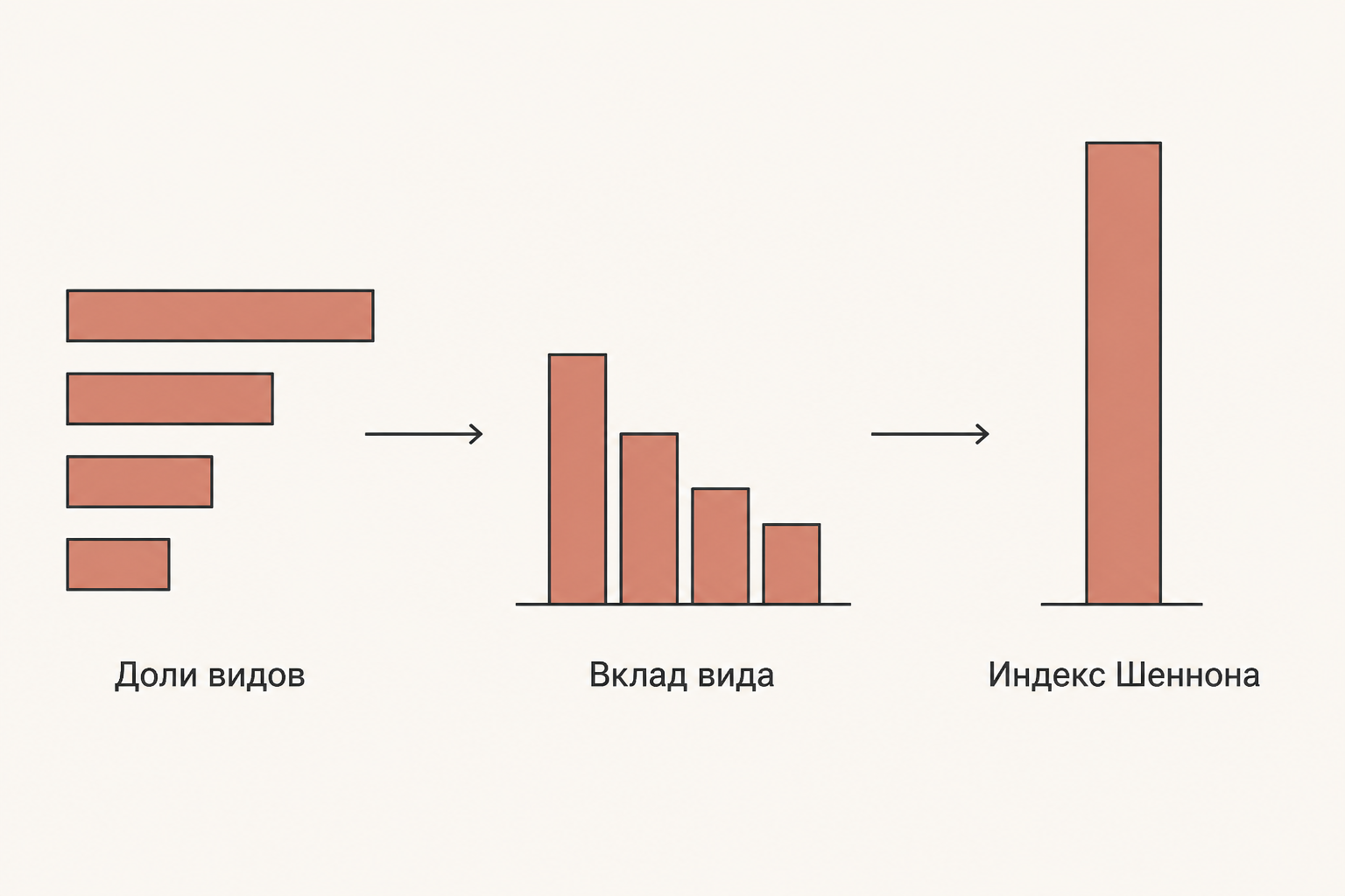 Схема расчёта индекса Шеннона: доли видов превращаются во вклады, вклады суммируются в одно число