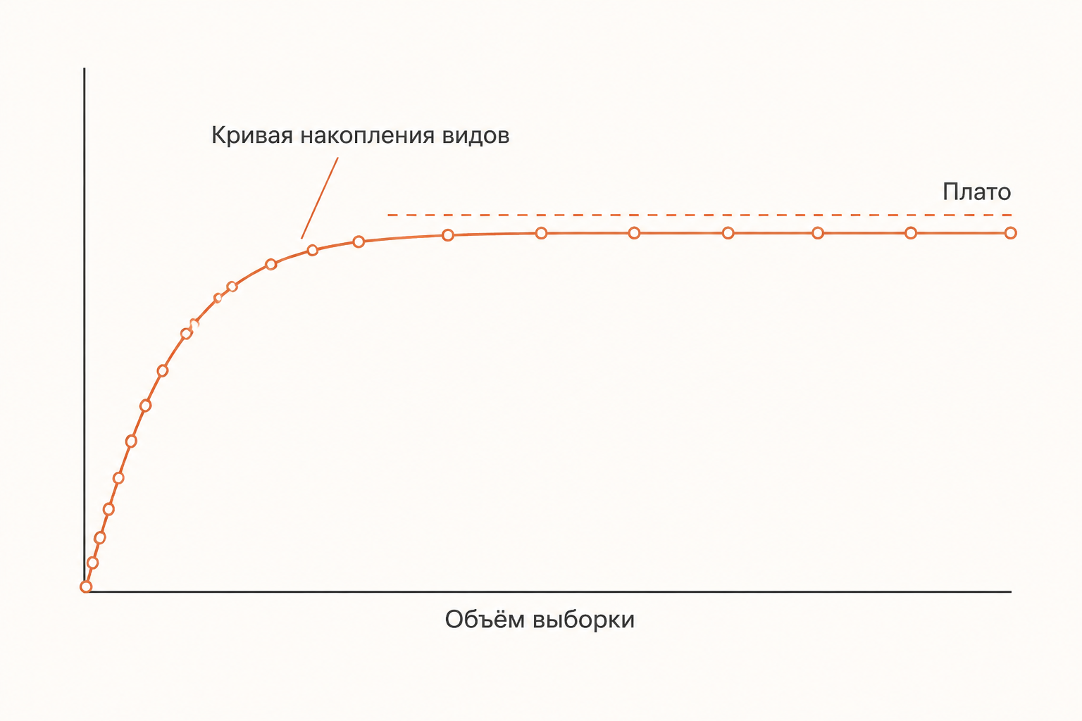 Кривая накопления видов: крутой рост в начале и выход на плато при достаточном объёме выборки