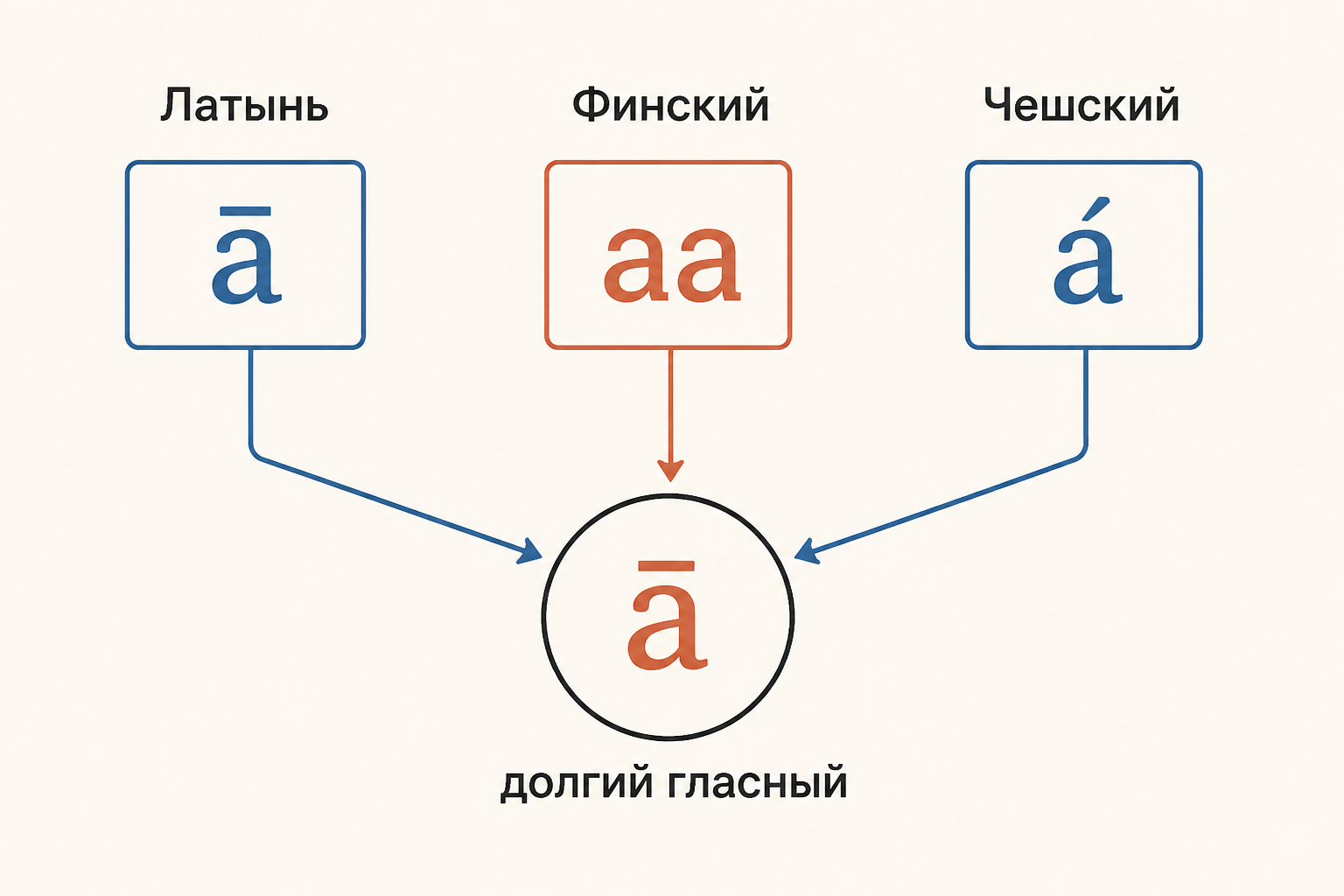 Сопоставительная схема: латинский макрон, финское удвоение и чешский акут обозначают долгий гласный, но ударение остаётся отдельным признаком