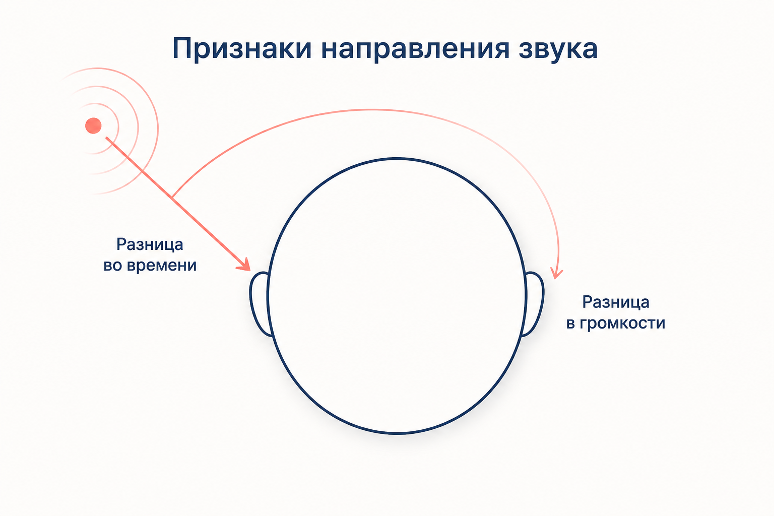 Звук от источника сбоку приходит в дальнее ухо позже и тише, чем в ближнее: межушные различия по времени и громкости