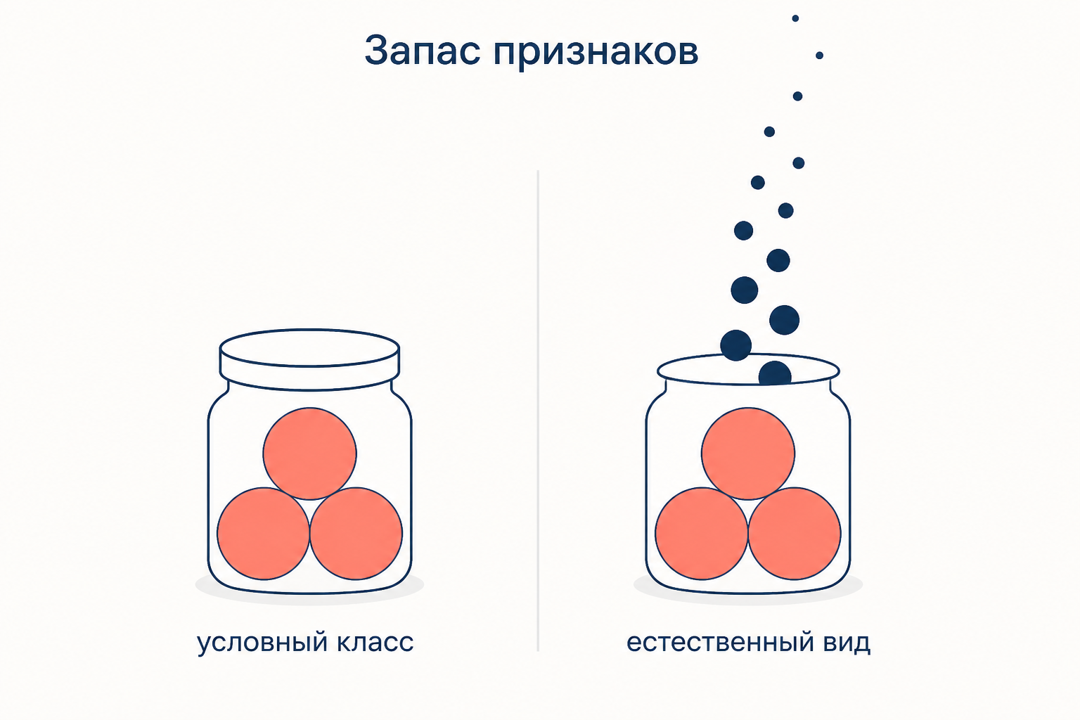 Запас признаков: у условного класса он закрыт определением, у естественного вида открыт
