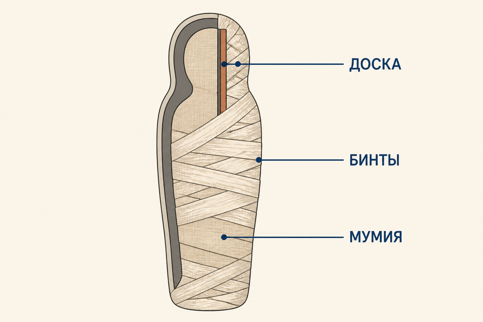 Схема фаюмского портрета: деревянная доска с лицом закреплена поверх бинтов мумии, рядом показаны слои погребального покрова