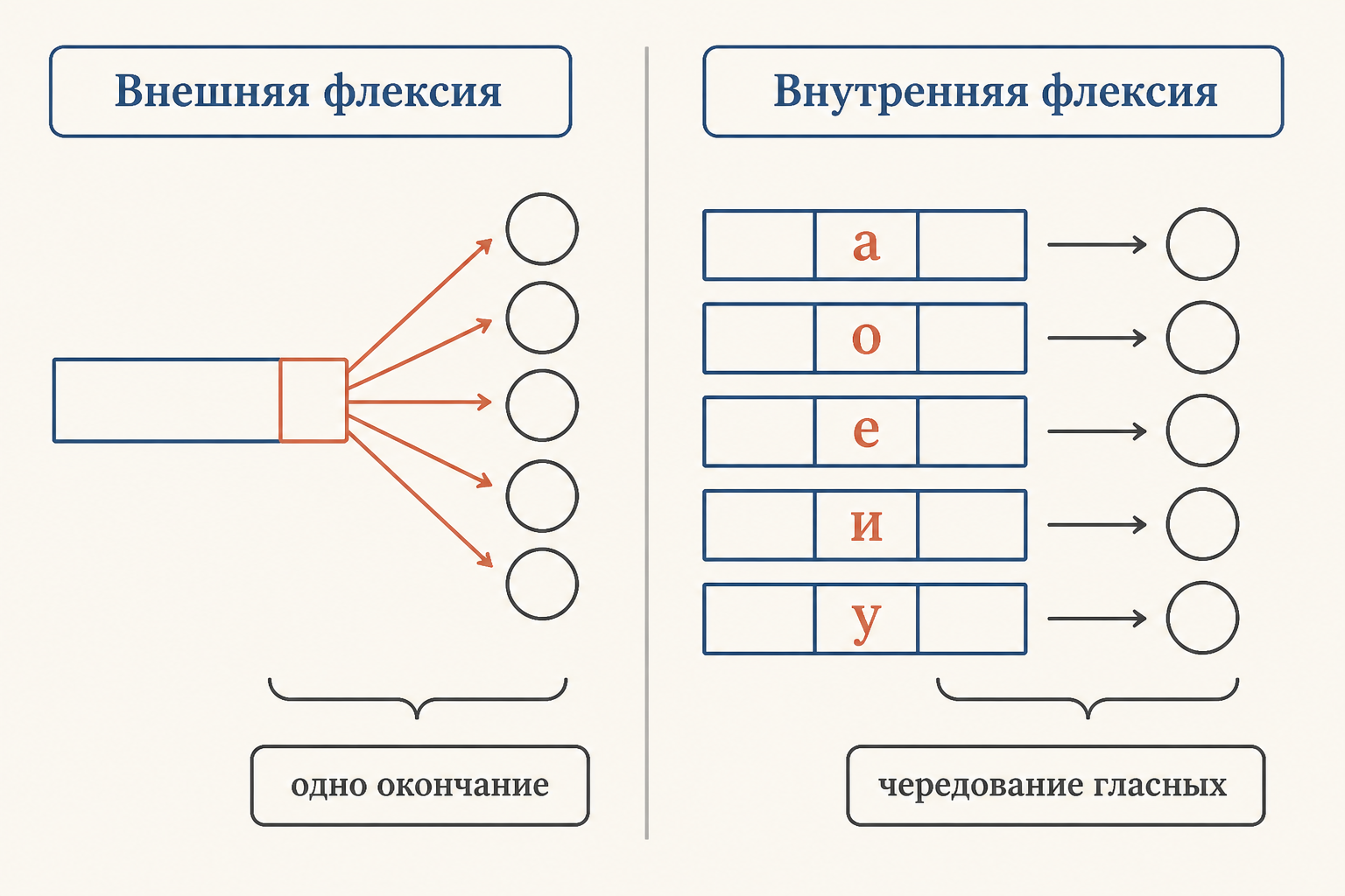 Флексия с несколькими грамматическими значениями: внешняя и внутренняя флексия
