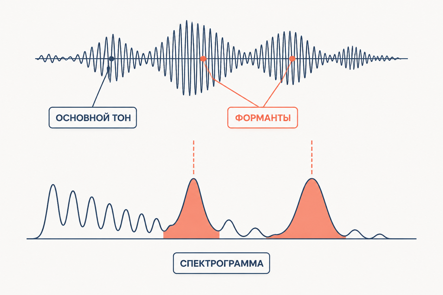 Спектрограмма показывает основной тон и формантные области речи