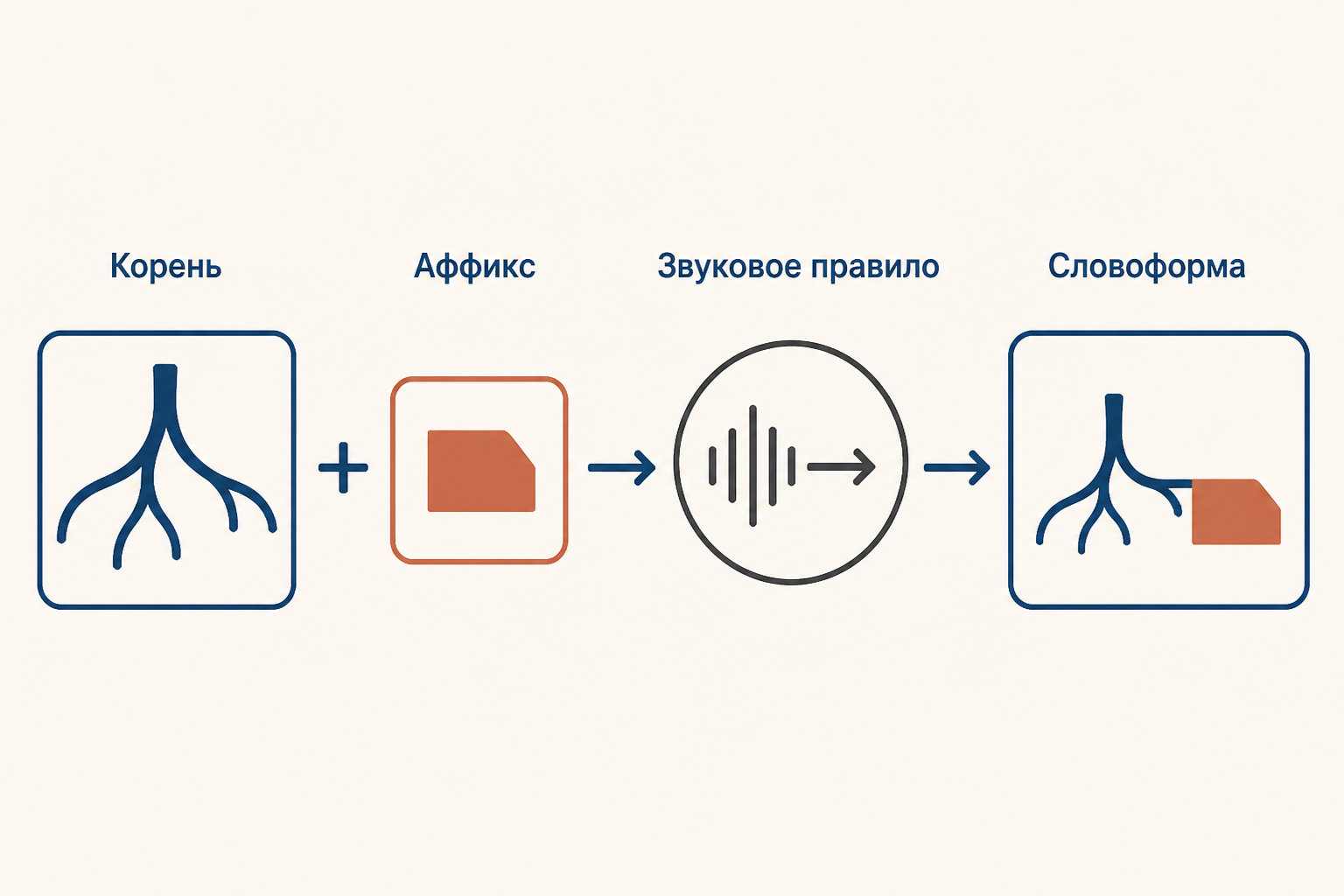 Учебная схема: корень, аффикс и звуковое преобразование в выводе формы