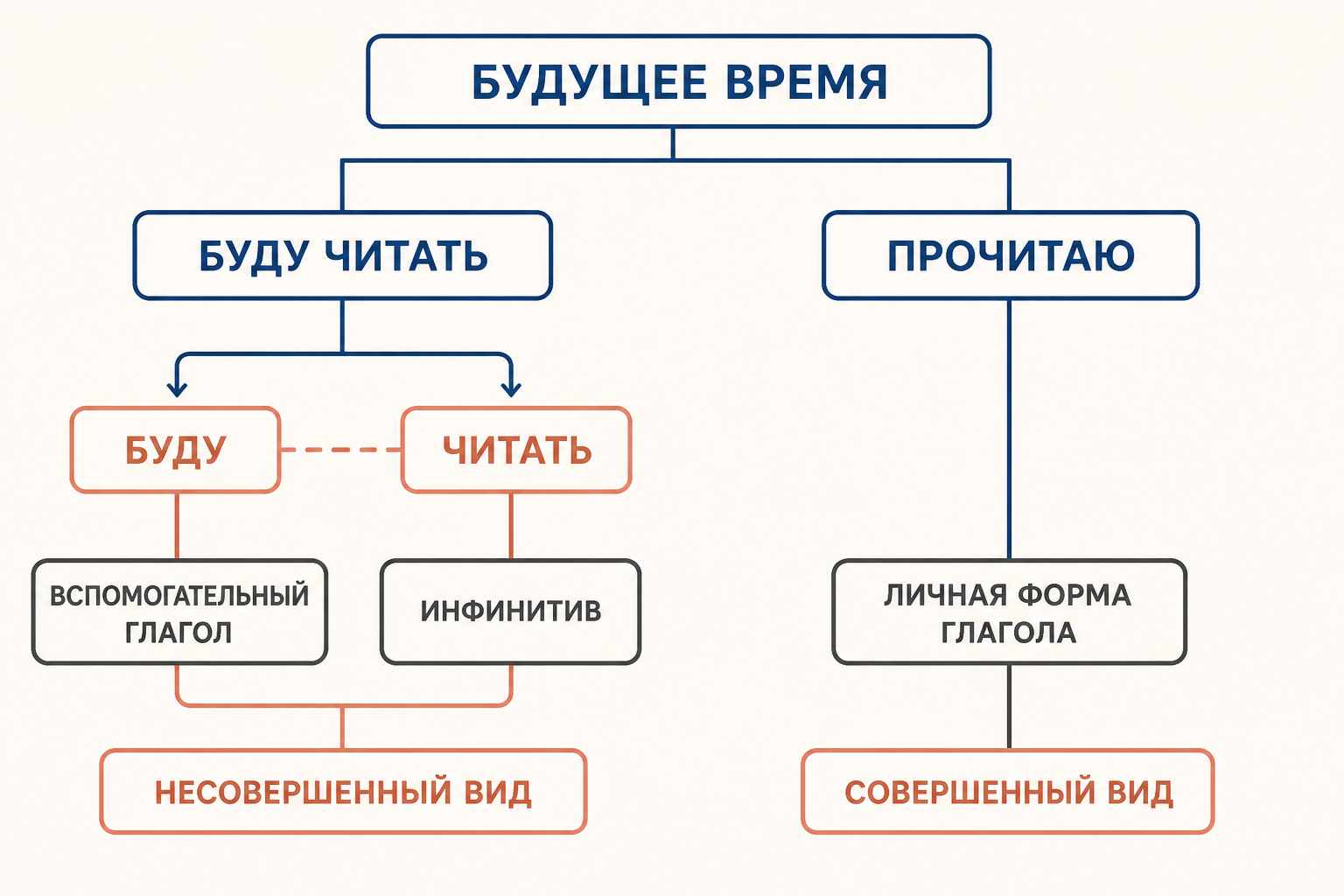 Стадии грамматикализации: полнозначный глагол, переходная конструкция, вспомогательный элемент и аффикс