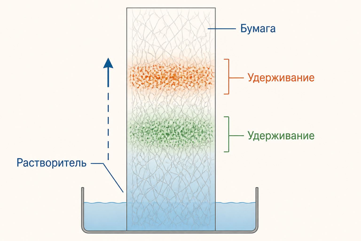 Схема: Бумага, Растворитель, Удерживание