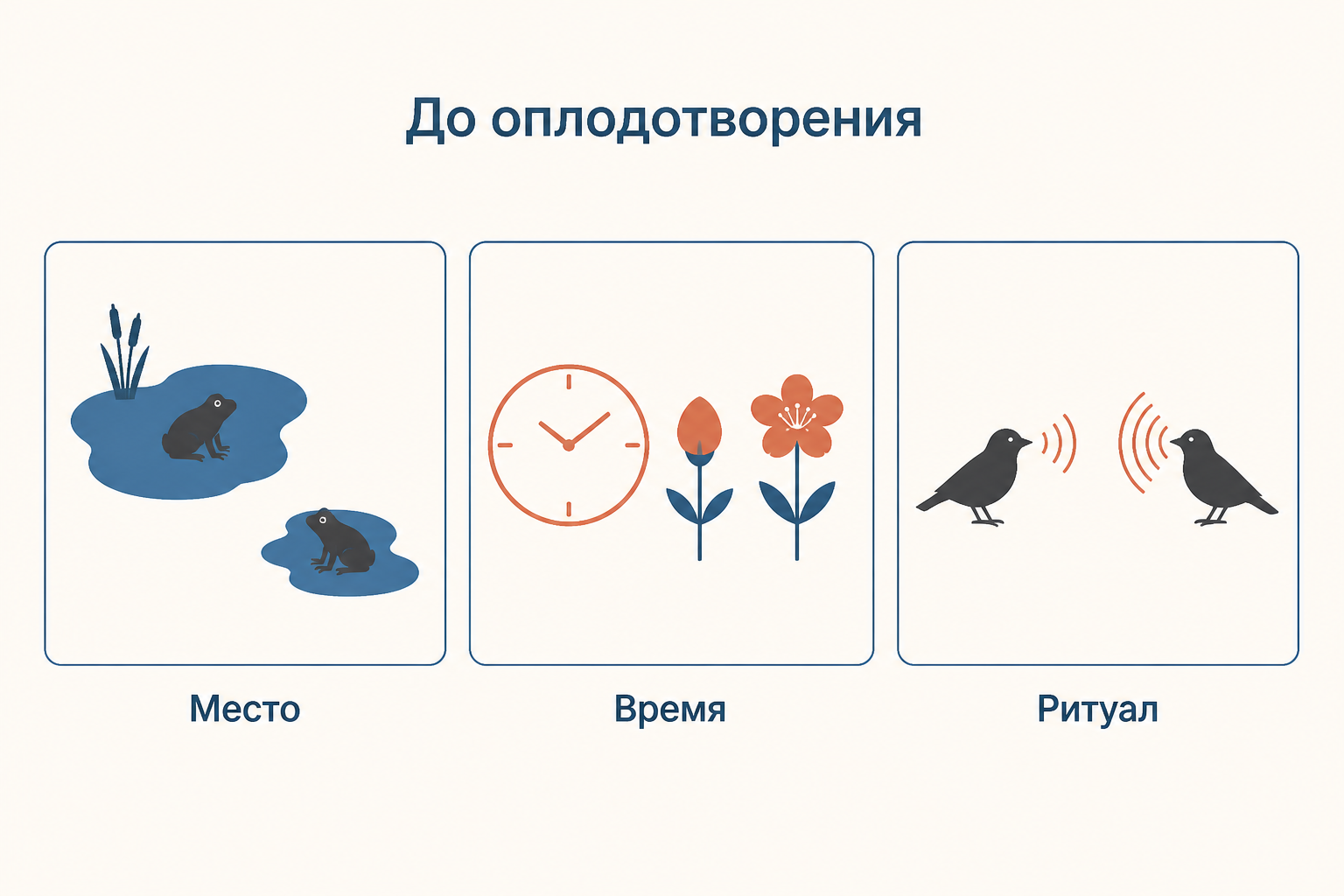 Три панели схемы докопуляционных барьеров: разные места обитания, разное время размножения и разный брачный ритуал