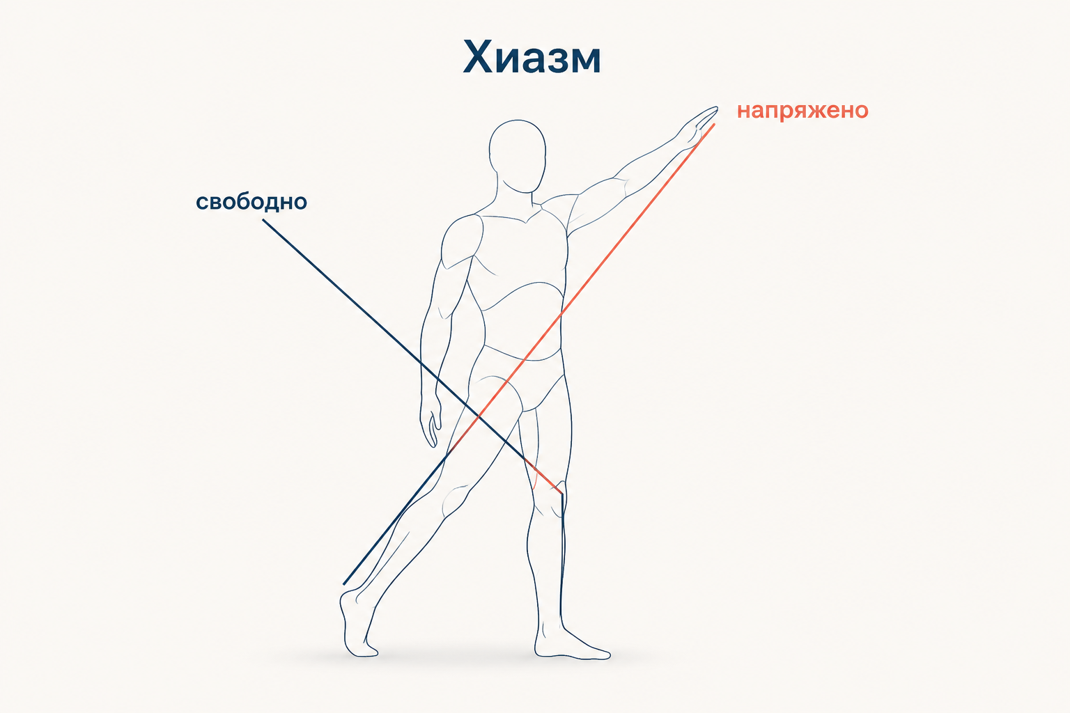 Хиазм в Дорифоре: опорная нога и напряжённая рука по диагонали, свободные конечности по второй диагонали