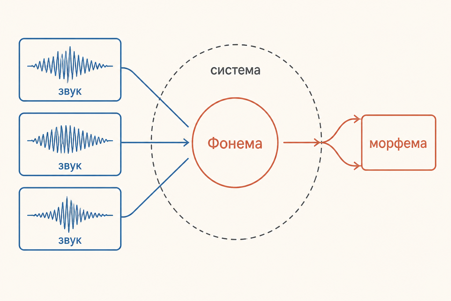 Схема фонемы как единицы, объединяющей звуковые реализации
