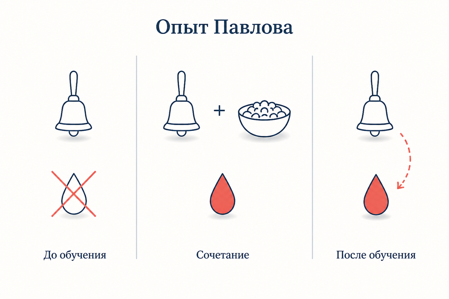 Схема опыта Павлова: до обучения сигнал не вызывает реакции, при сочетании сигнал предшествует еде, после обучения один сигнал вызывает слюноотделение