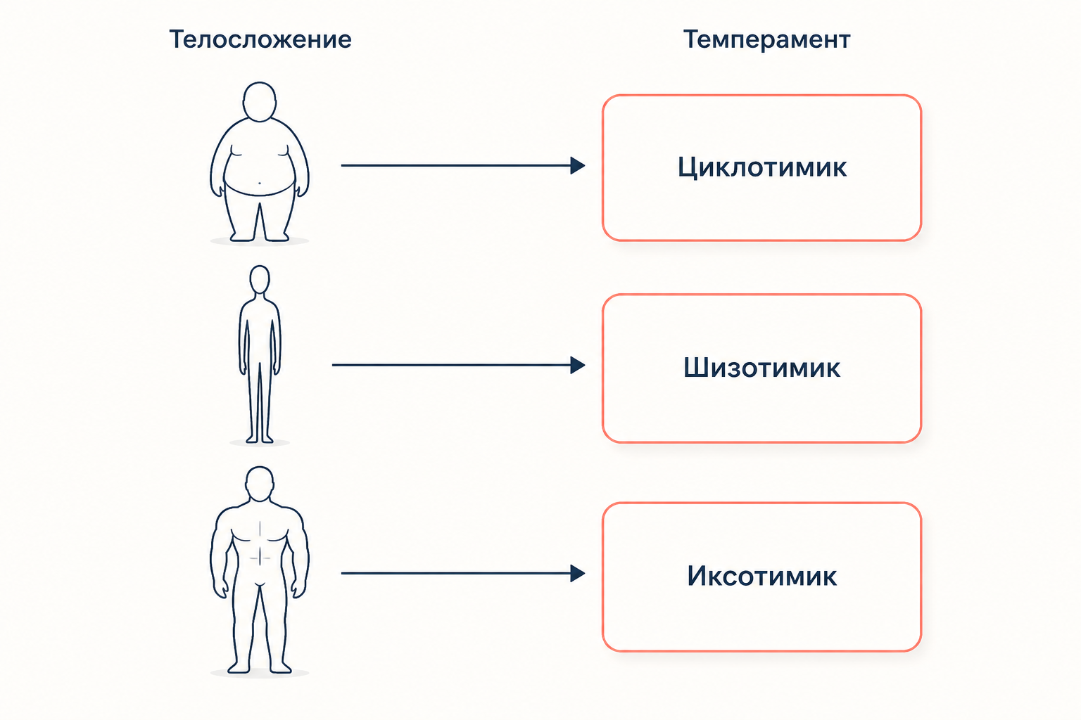 Схема Кречмера: три типа телосложения стрелками связаны с темпераментами циклотимика, шизотимика и иксотимика