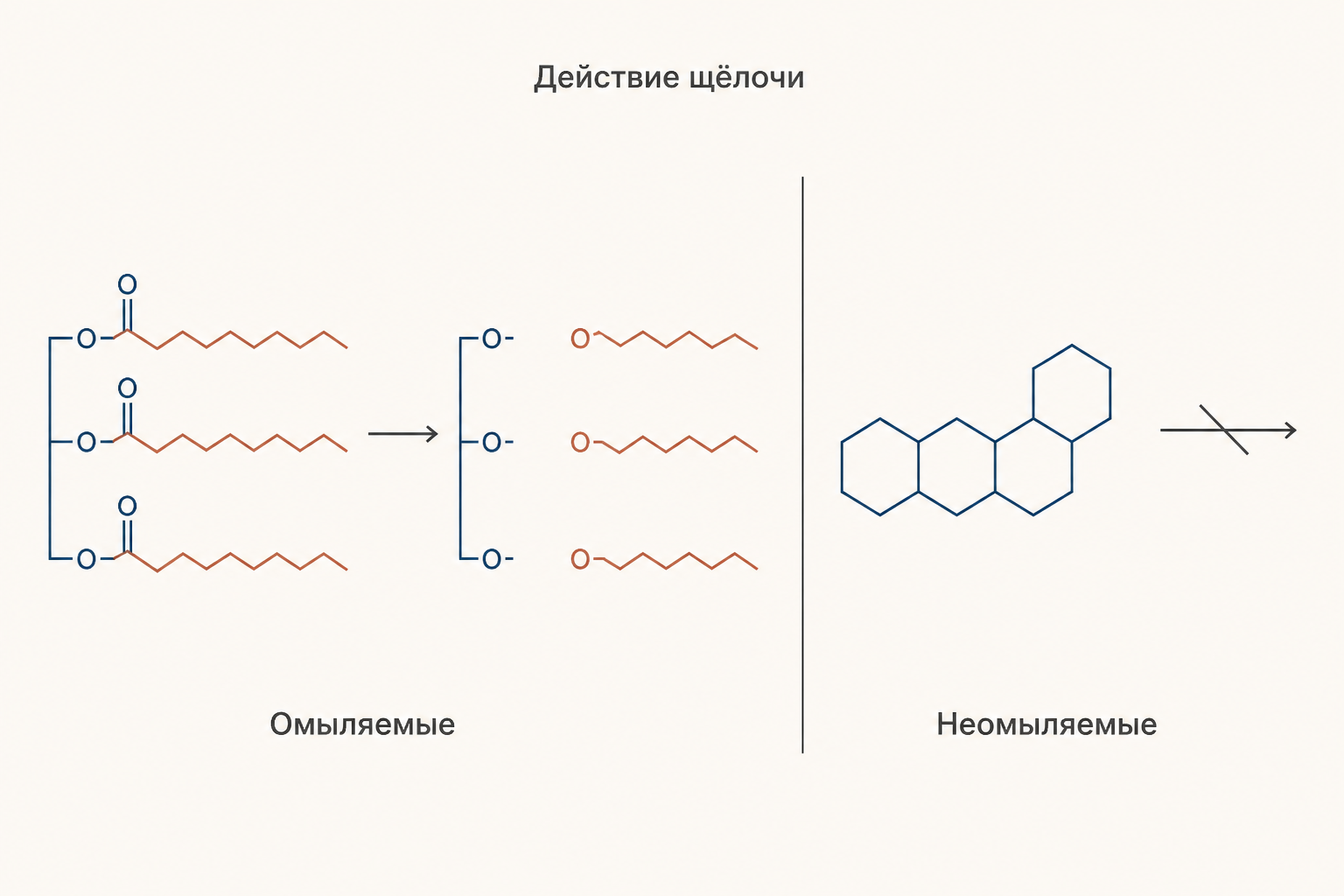 Две ветви классификации липидов: омыляемые распадаются щёлочью на глицерин и мыло, неомыляемые остаются целыми