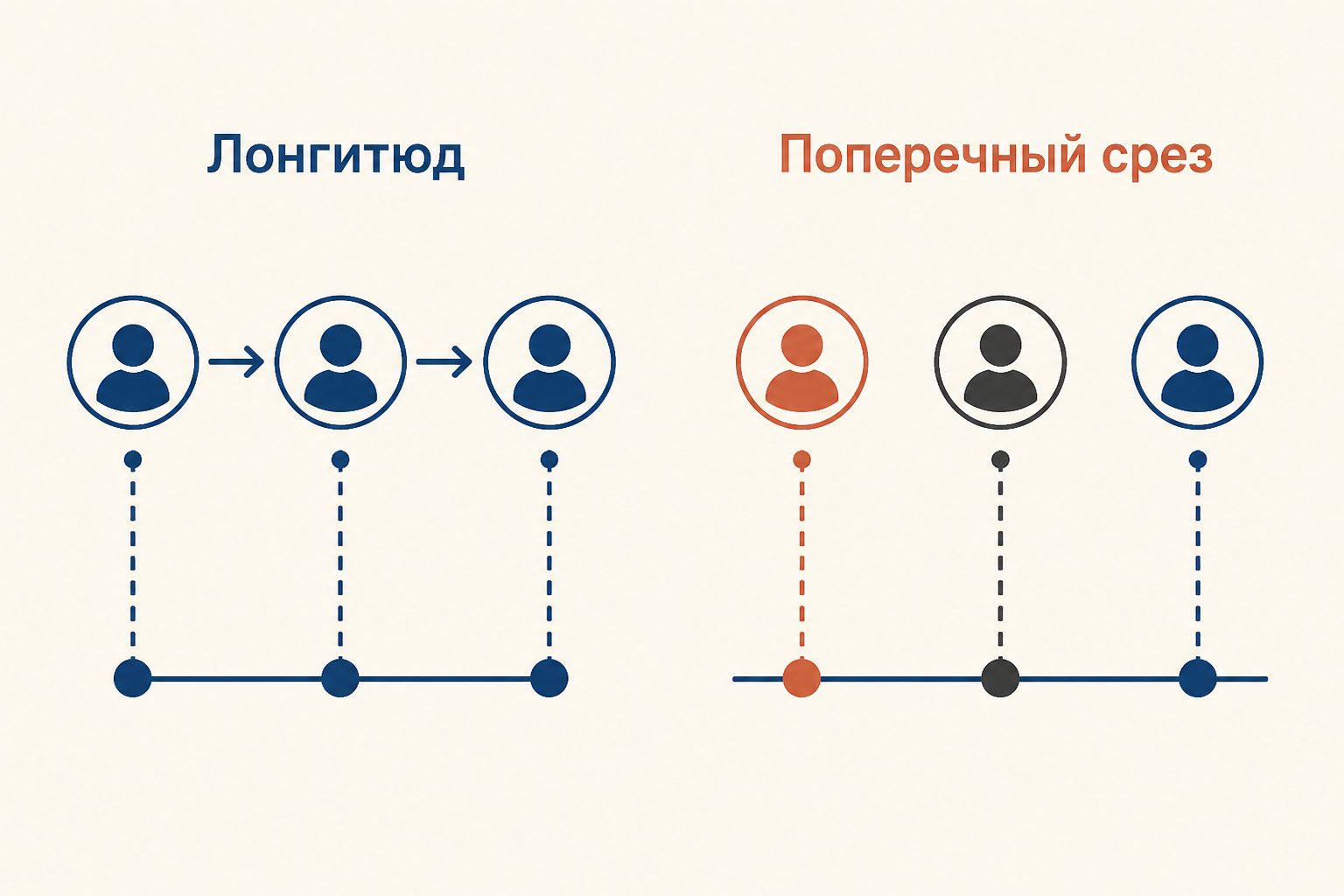 Лонгитюд и поперечный срез: одна группа проходит несколько замеров во времени, срез сравнивает разные группы в один момент