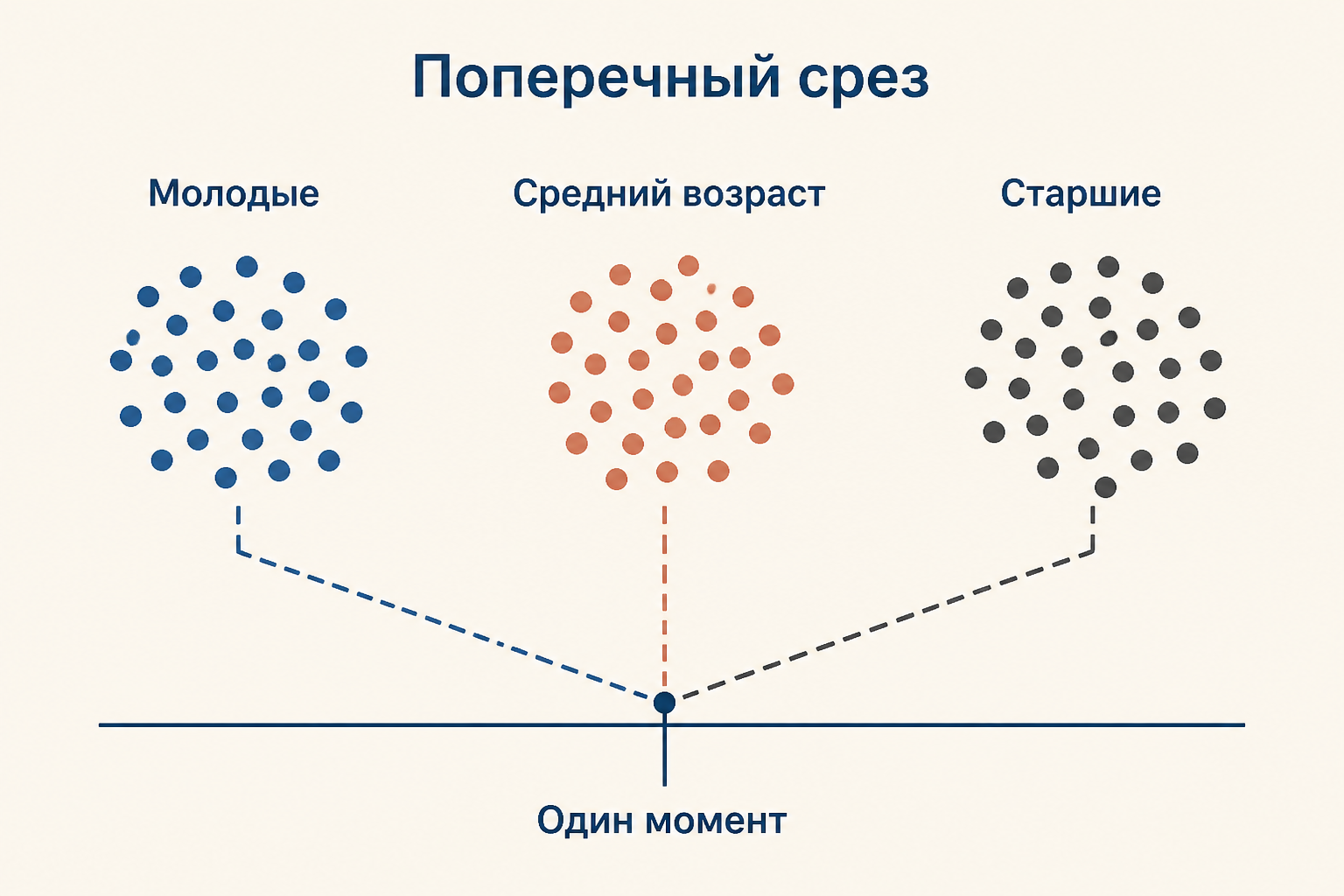 Схема поперечного среза: разные возрастные группы сравниваются в один момент времени