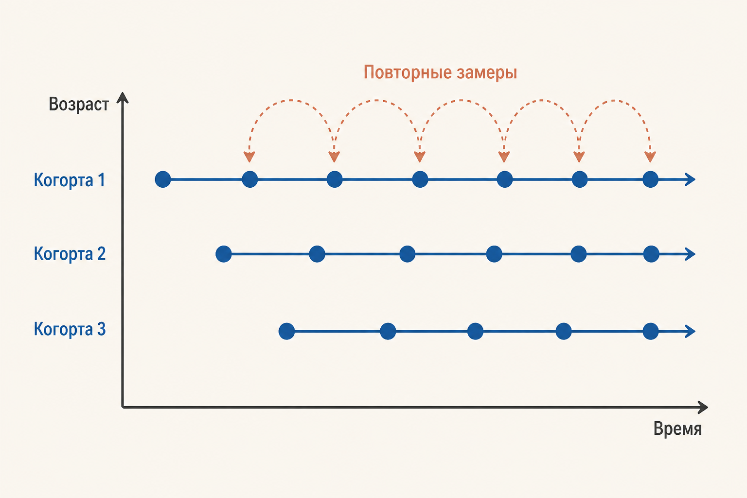 Когортно-последовательный дизайн: несколько возрастных когорт проходят повторные измерения