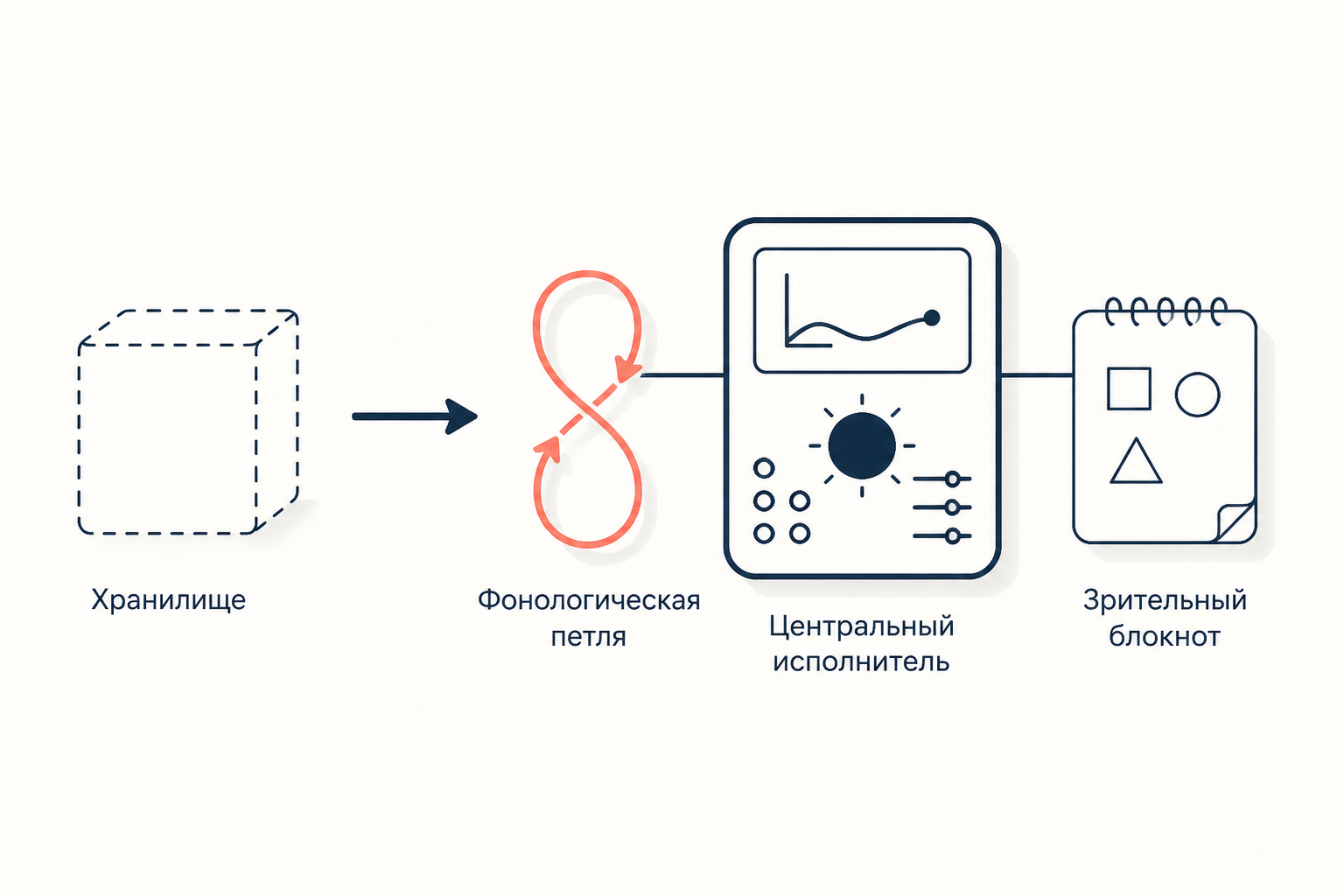 Единое кратковременное хранилище превращается в систему рабочей памяти: центральный исполнитель, фонологическая петля и зрительный блокнот