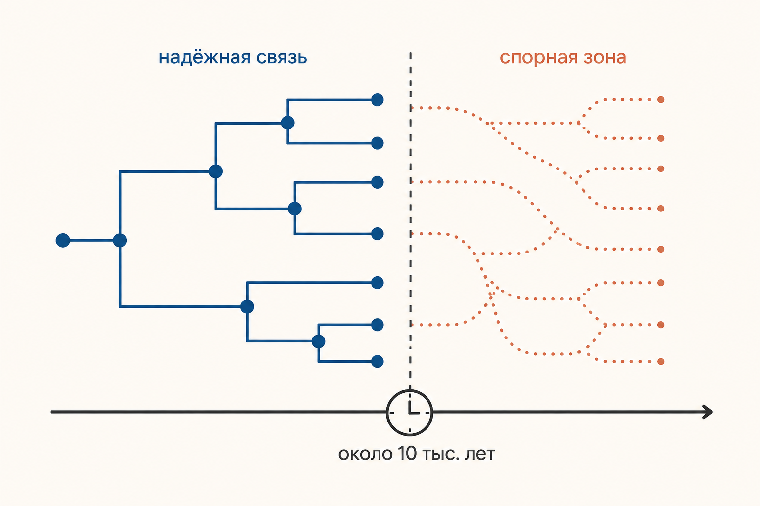 Линия времени реконструкции: надёжные семейные связи сменяются зоной спорных макросемей около глубины в десять тысяч лет