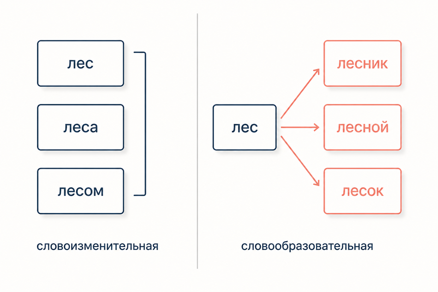 Слева столбец форм лес, леса, лесом, справа от слова лес расходятся стрелки к словам лесник, лесной, лесок